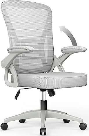 Sedia da Ufficio con Supporto Lombare e Braccioli Regolabili, Grigio